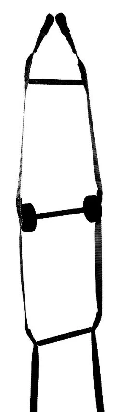 20 Ft. CarbonLite Rescue/Assault Ladder