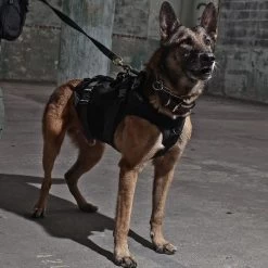 London Bridge Trading LBT Tactical K9 Harness