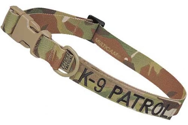 Cetacea Taktisches Hundehalsband K-9 Patrol 1 Cetacea Taktisches Hundehalsband K-9 Patrol