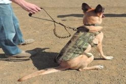 Cetacea Tactical Basic Dog Handlers' Leash K9 Leine -Outdoor Equipment Verkauf trafficlead2 1280x1280